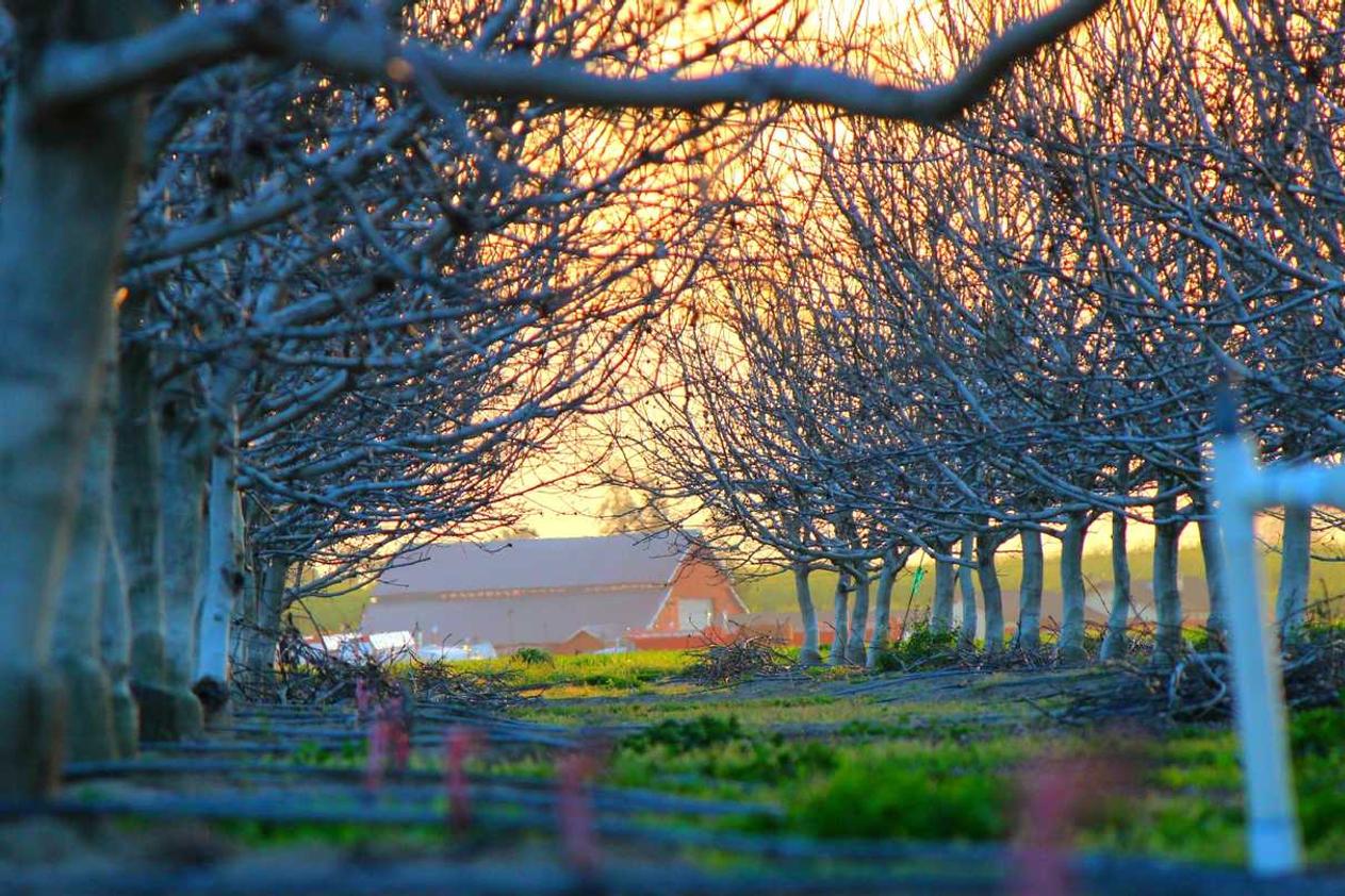 In aut dolorum